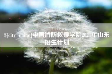 单县中国消防救援学院2021年山东招生计划