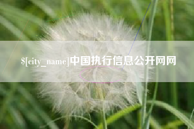 单县中国执行信息公开网网