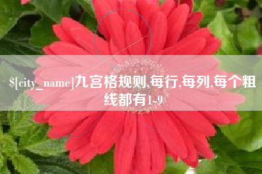 单县九宫格规则,每行,每列,每个粗线都有1-9