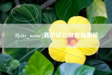 单县消防证初级查询系统