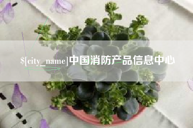 单县中国消防产品信息中心