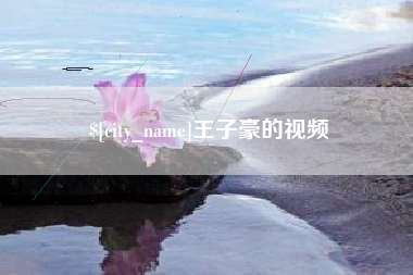 单县王子豪的视频