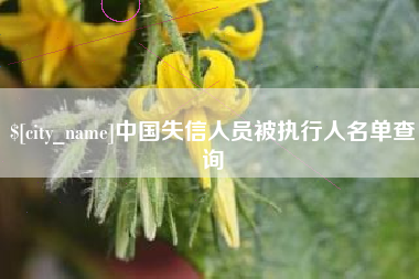 单县中国失信人员被执行人名单查询