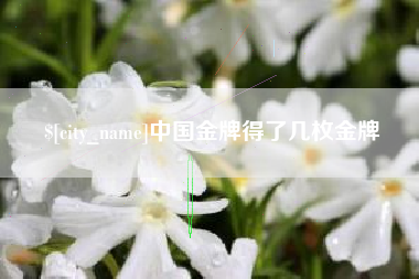 单县中国金牌得了几枚金牌