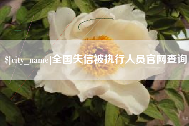 单县全国失信被执行人员官网查询