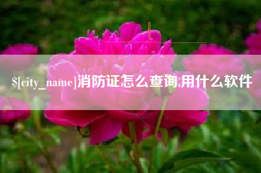 单县消防证怎么查询,用什么软件