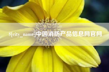 单县中国消防产品信息网官网