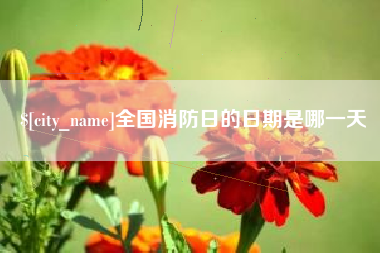 单县全国消防日的日期是哪一天