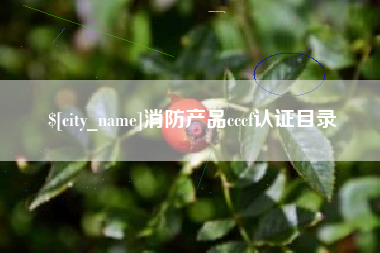 单县消防产品cccf认证目录