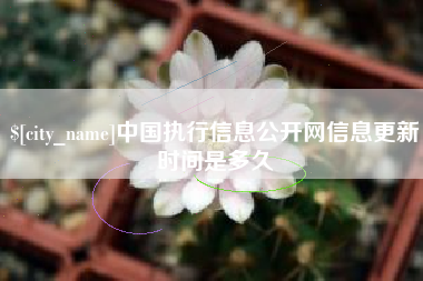 单县中国执行信息公开网信息更新时间是多久