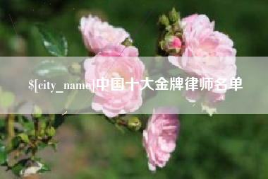 单县中国十大金牌律师名单