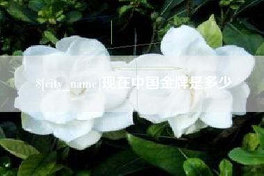 单县现在中国金牌是多少