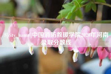 单县中国消防救援学院2020年河南录取分数线