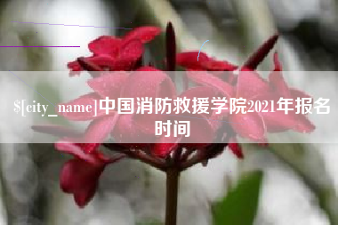 单县中国消防救援学院2021年报名时间