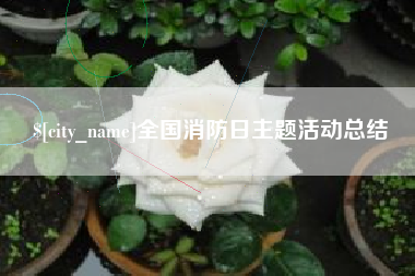 单县全国消防日主题活动总结