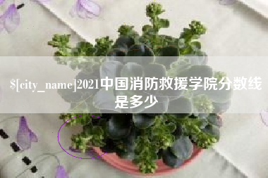 单县2021中国消防救援学院分数线是多少