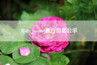 单县执行信息公示