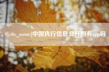 单县中国执行信息公开网有app吗