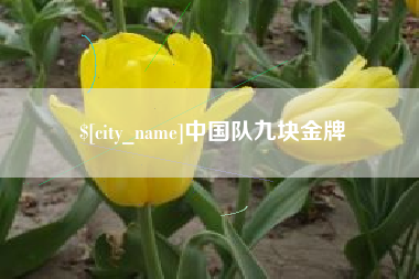 单县中国队九块金牌