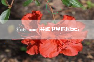 单县谷歌卫星地图2025