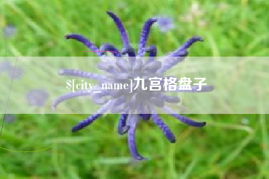 单县九宫格盘子