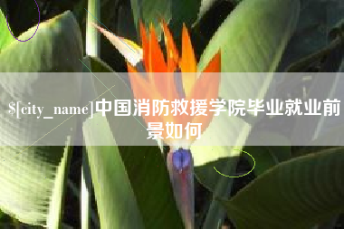 单县中国消防救援学院毕业就业前景如何