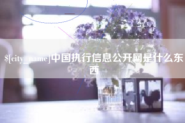 单县中国执行信息公开网是什么东西
