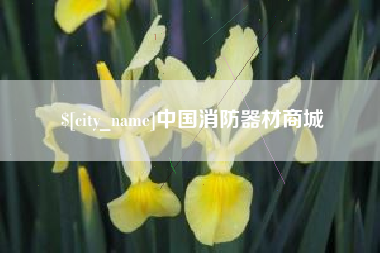 单县中国消防器材商城