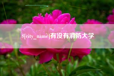 单县有没有消防大学