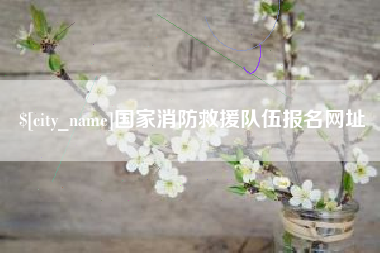 单县国家消防救援队伍报名网址