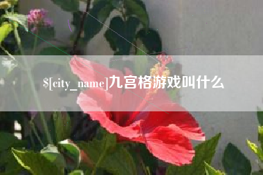 单县九宫格游戏叫什么