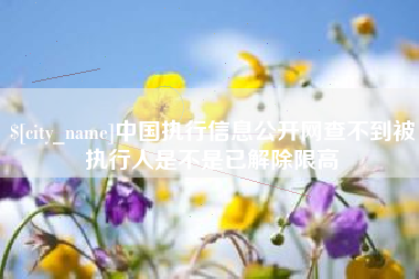 单县中国执行信息公开网查不到被执行人是不是已解除限高
