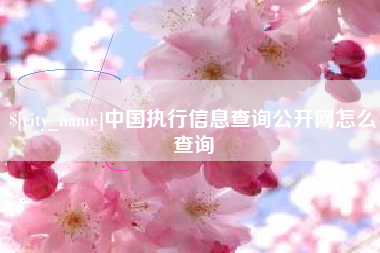 单县中国执行信息查询公开网怎么查询