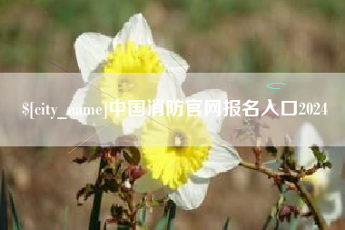 单县中国消防官网报名入口2024