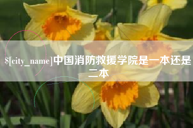 单县中国消防救援学院是一本还是二本