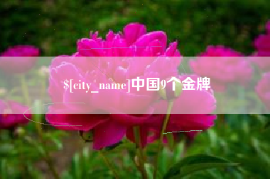 单县中国9个金牌