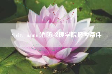 单县消防救援学院报考条件