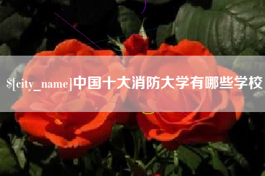 单县中国十大消防大学有哪些学校