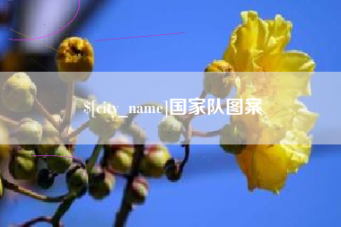 单县国家队图案