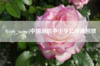 单县中国消防中小学公开课回放