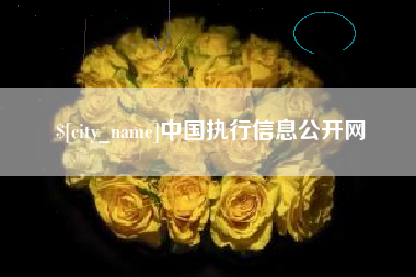 单县中国执行信息公开网