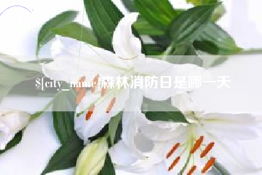 单县森林消防日是哪一天