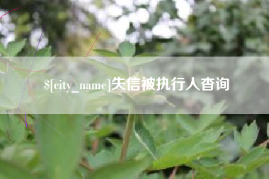 单县失信被执行人杳询