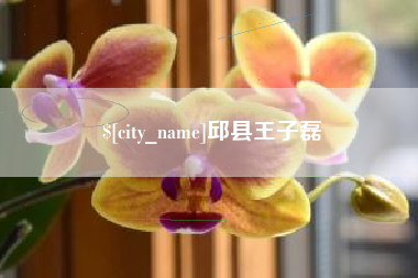 单县邱县王子磊