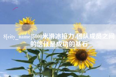单县5000米滑冰接力-团队成员之间的信任是成功的基石