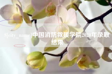 单县中国消防救援学院2020年录取结果