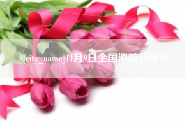 单县11月9日全国消防日图片