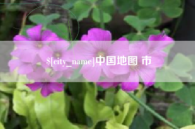 单县中国地图 市