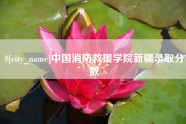 单县中国消防救援学院新疆录取分数
