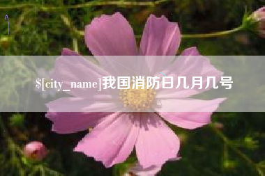 单县我国消防日几月几号